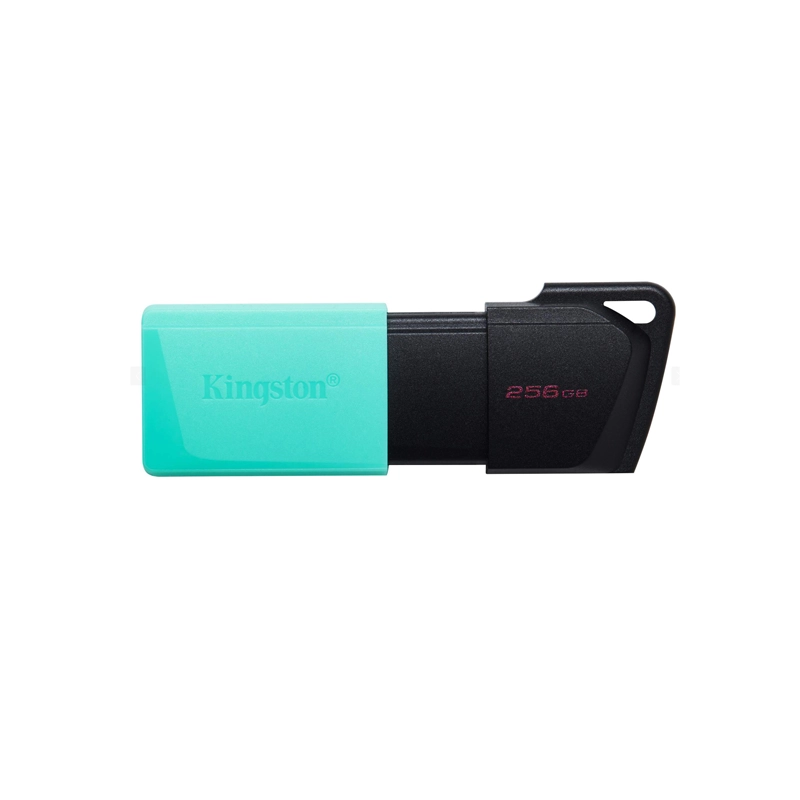 Pendrive Kingston Mini Flash Drive DTXM/256GBER