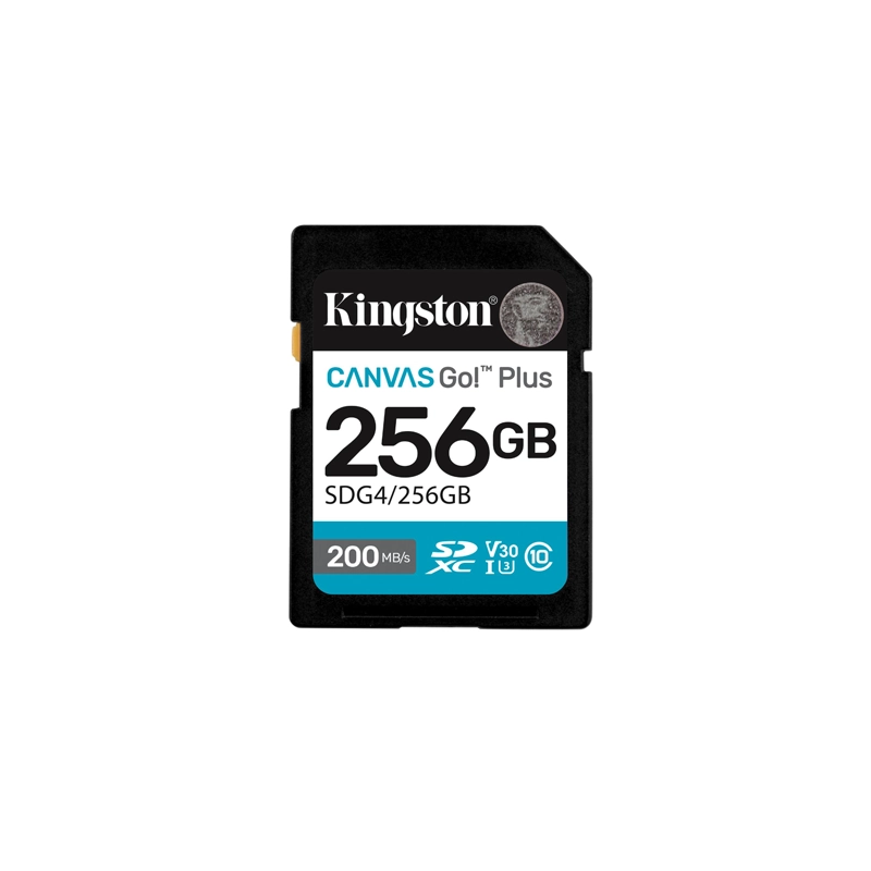 Cartão de memória Kingston Secure Digital Card SDG4/256GB