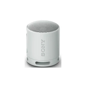 Colunas de som Sony Colunas Portáteis SRSXB100H.CE7