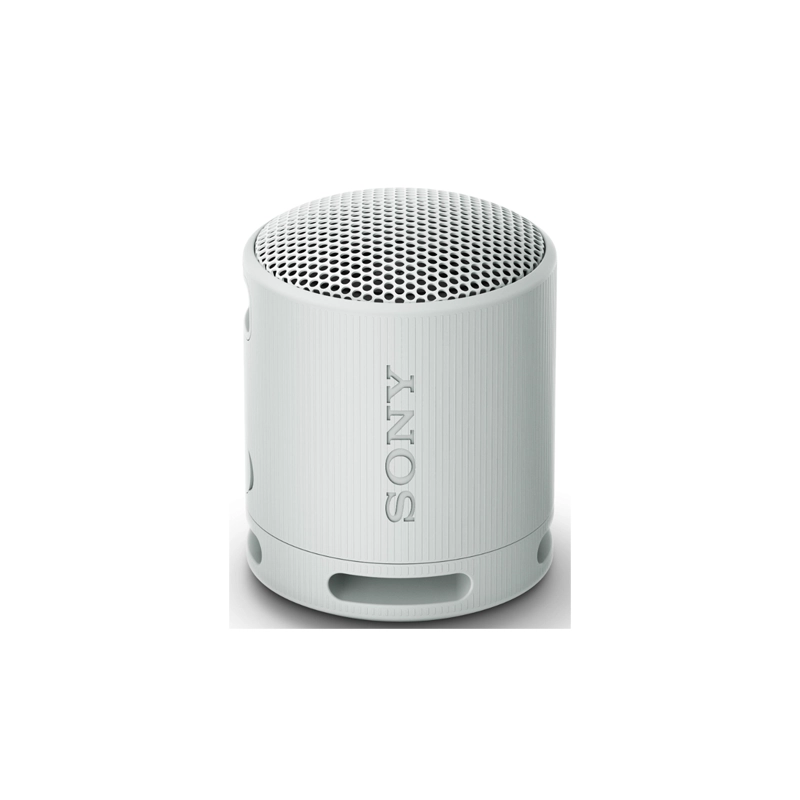 Colunas de som Sony Colunas Portáteis SRSXB100H.CE7